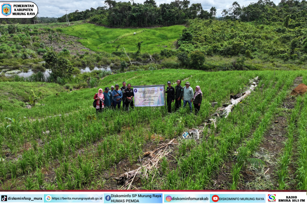 Sekelompok petani berdiri di ladang padi dengan spanduk di tengah tanaman hijau.