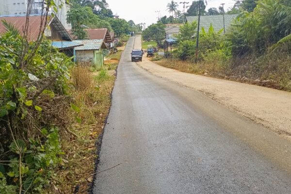 Jalan aspal yang menghubungkan area pedesaan dengan kendaraan melintas di tengah pepohonan.