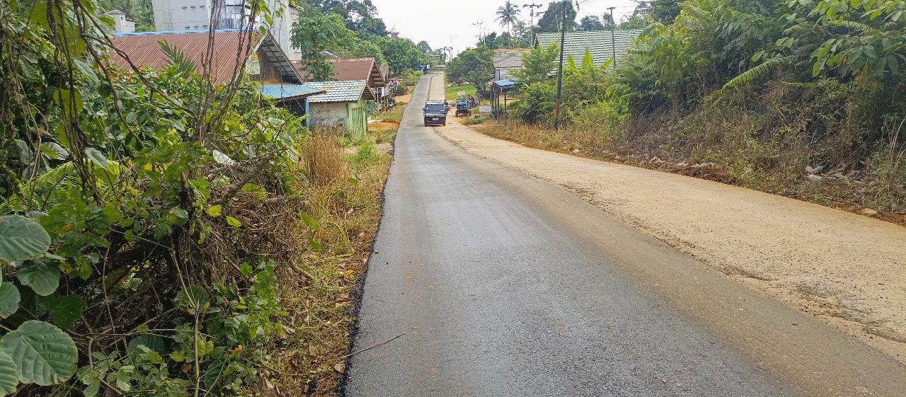 Jalan aspal yang menghubungkan area pedesaan dengan kendaraan melintas di tengah pepohonan.