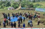 Suasana panen padi gogo di Murung Raya pada lahan kering, kerumunan peserta di hamparan rumput, banner biru bertuliskan panen padi bersama dan kegiatan uji varietas