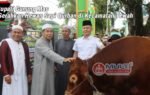 Bupati Jaya Monong Serahkan 6 Sapi Qurban di Tewah
