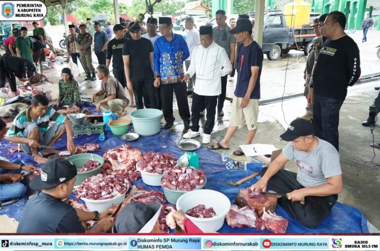 Bupati Heriyus memantau pembagian hewan kurban di sejumlah masjid di Puruk Cahu, Murung Raya, saat daging dibagikan kepada warga.