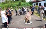 Heriyus dan Edy Pratowo disambut prosesi adat potong pantan di halaman Bandara Dirung oleh jajaran Pemerintah Kabupaten Murung Raya.